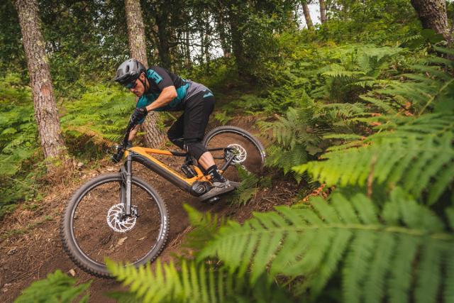 New 15km bike park in the heart of Pines forrest